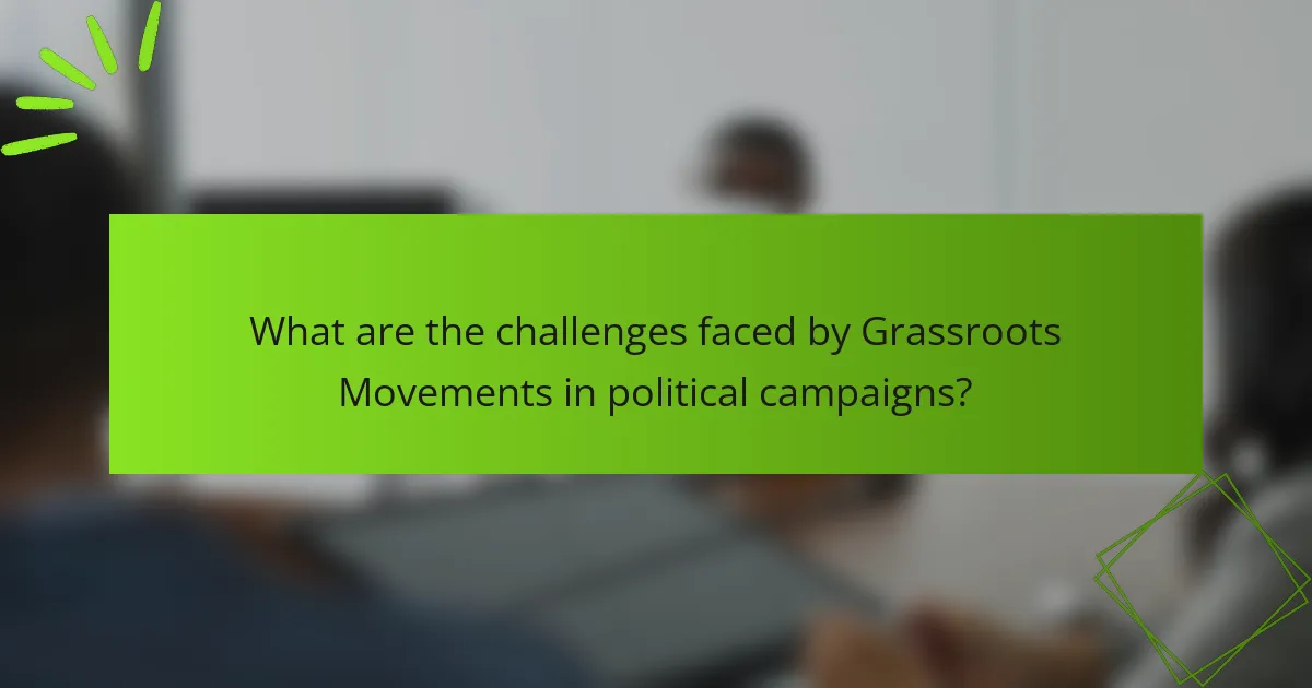 What are the challenges faced by Grassroots Movements in political campaigns?