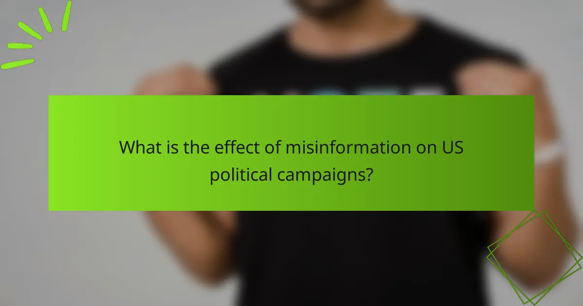 What is the effect of misinformation on US political campaigns?